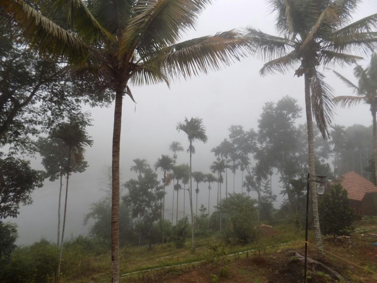 Misty Mornings Resort Ambalavayal Bagian luar foto