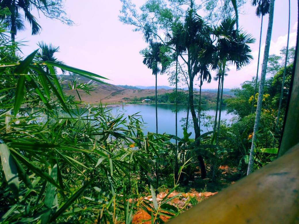 Misty Mornings Resort Ambalavayal Bagian luar foto