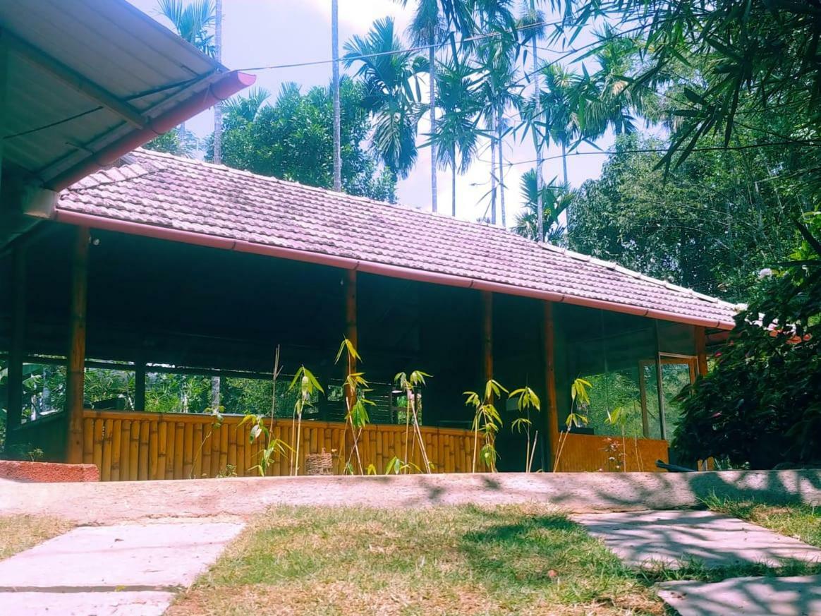 Misty Mornings Resort Ambalavayal Bagian luar foto