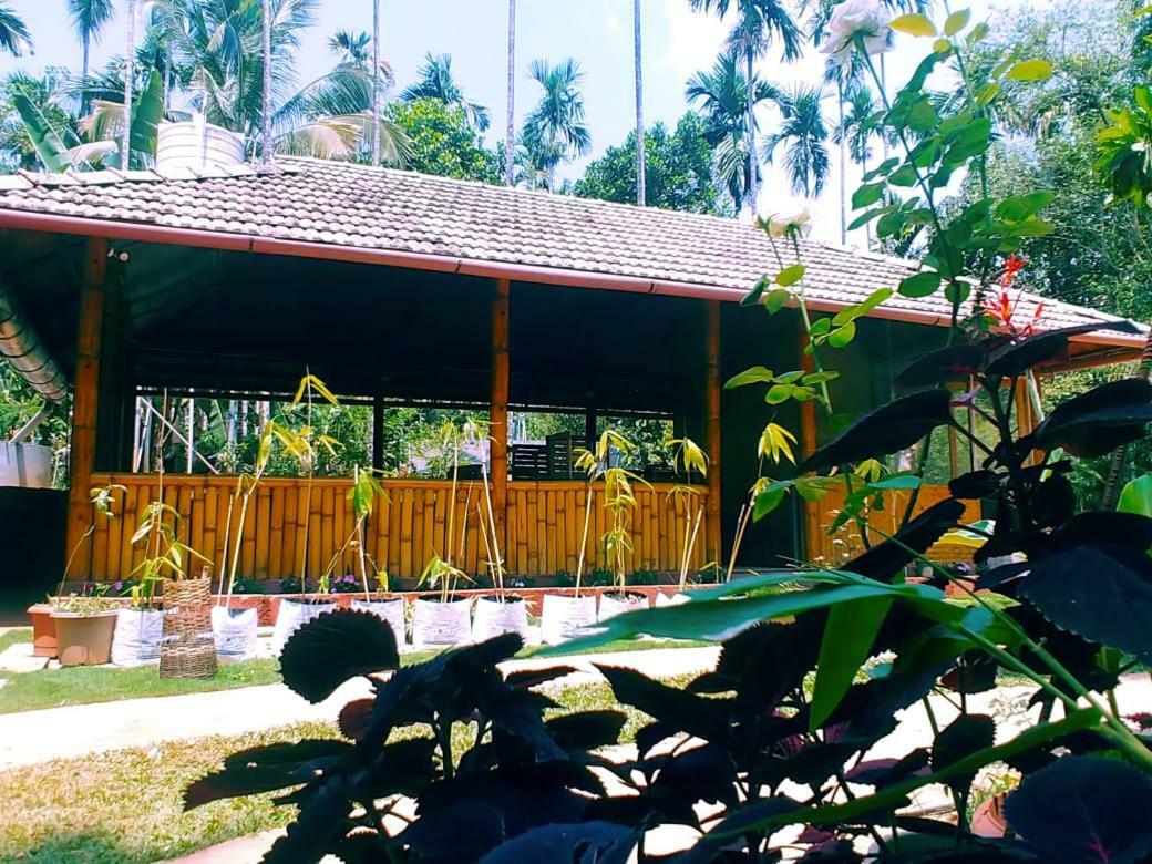 Misty Mornings Resort Ambalavayal Bagian luar foto