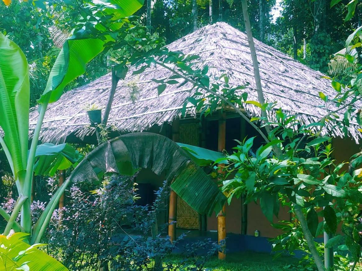 Misty Mornings Resort Ambalavayal Bagian luar foto