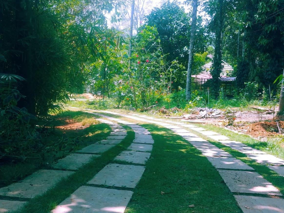 Misty Mornings Resort Ambalavayal Bagian luar foto