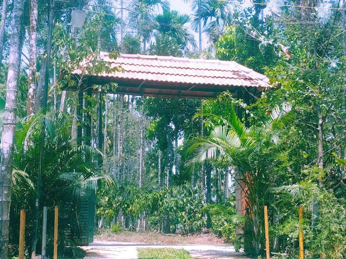 Misty Mornings Resort Ambalavayal Bagian luar foto