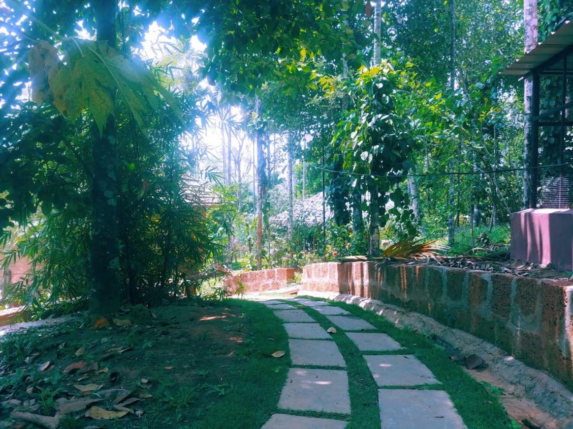 Misty Mornings Resort Ambalavayal Bagian luar foto