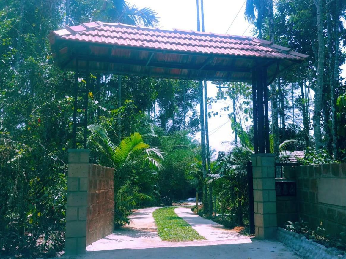 Misty Mornings Resort Ambalavayal Bagian luar foto