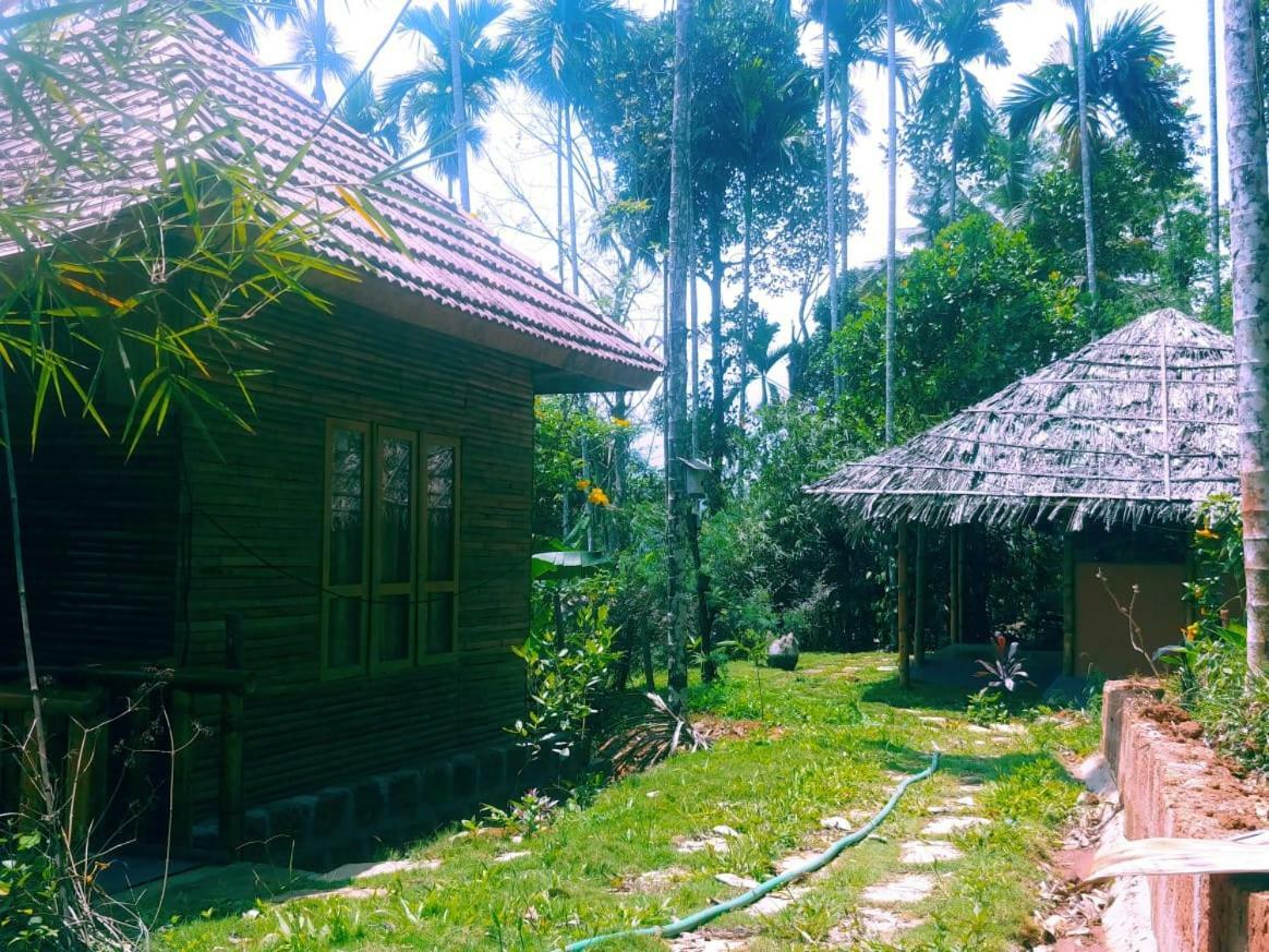 Misty Mornings Resort Ambalavayal Bagian luar foto