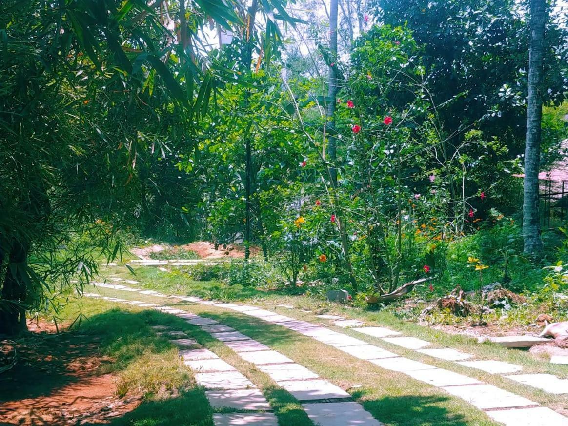 Misty Mornings Resort Ambalavayal Bagian luar foto