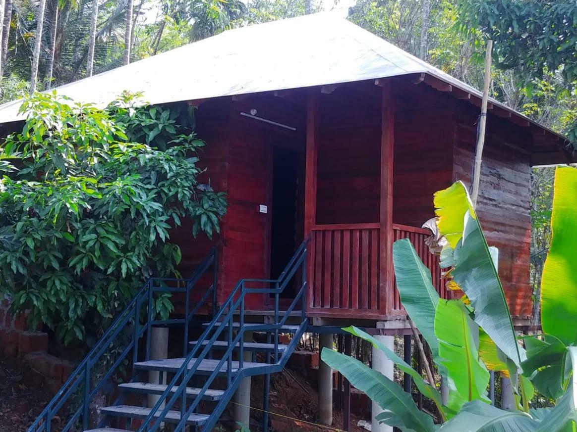 Misty Mornings Resort Ambalavayal Bagian luar foto