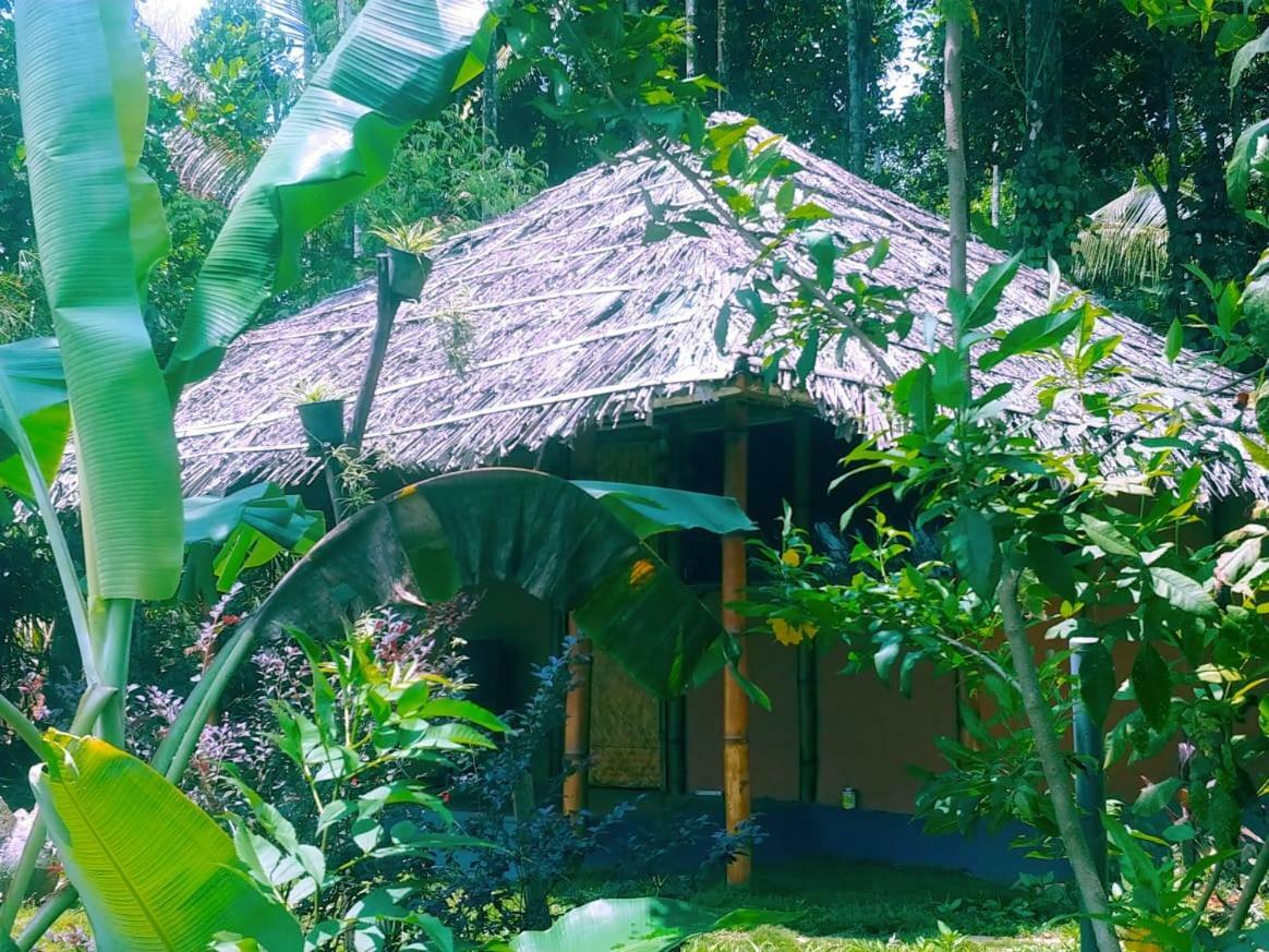 Misty Mornings Resort Ambalavayal Bagian luar foto